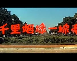 霍总，温小姐要跟别人跑了 封面图